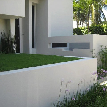 Tropical Modern