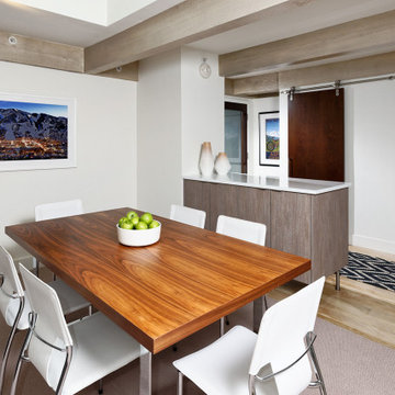 Aspen Contemporary Condo
