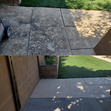 Backyard clean up and remodel