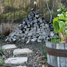 Garden Ideas