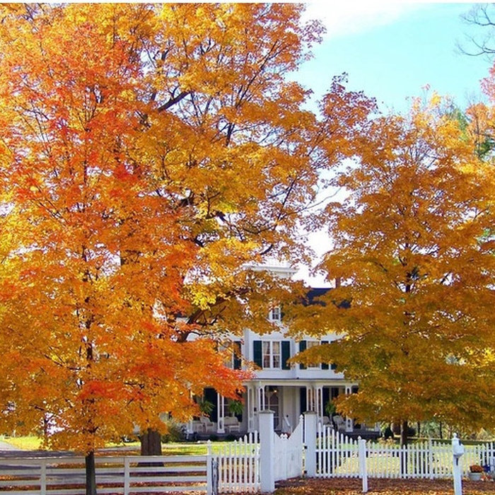 fall