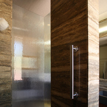 Contemporary Shower Controls and Grab Bar