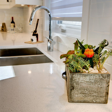 SHOW HOME - The Hunter