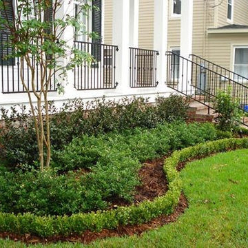 Front Landscaping