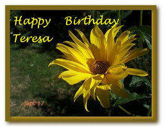 Happy Birthday Teresa