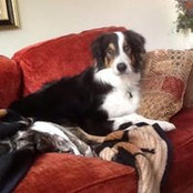 Sharon Fells's photo