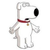 David Yang's photo