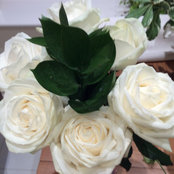Marie Patton's photo