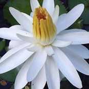 Joanna Schatz's photo