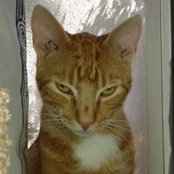 Marna White's photo