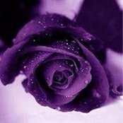Betty Pack's photo