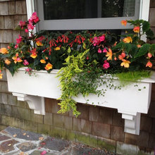 Container Gardening
