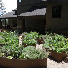 Vegetable Gardens