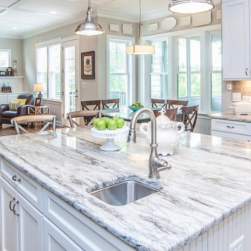 Kitchen/Family Room/Breakfast Nook