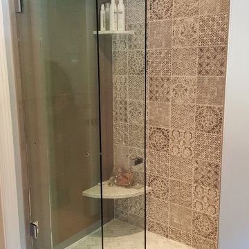 Essence Sliding Glass Shower Door (open)