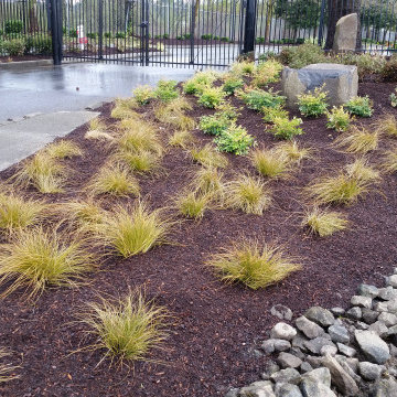 New Landscape Deign