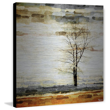 "Lone Tree" Print on Brushed Aluminum, 24"x24"
