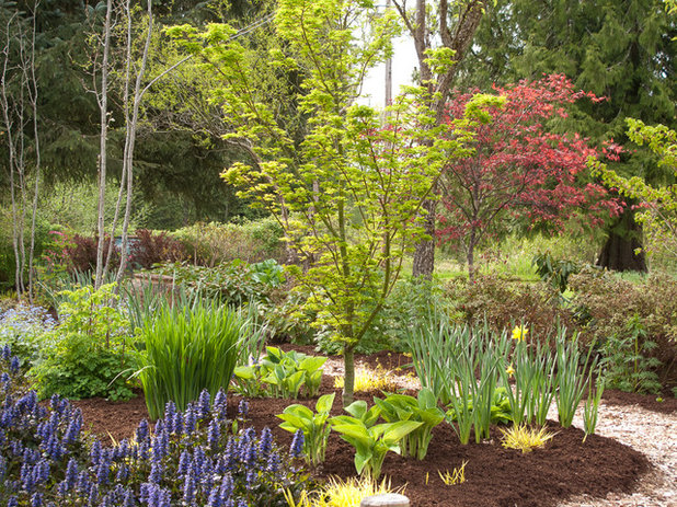 Классический Сад by Le jardinet