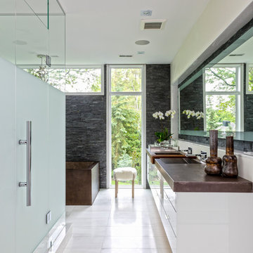 Toronto Project