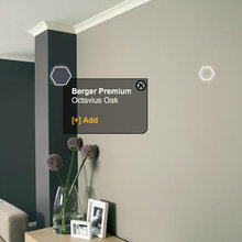 Interior Color