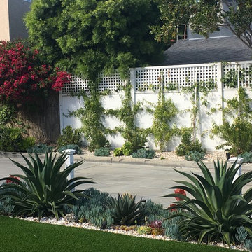 Succulent Splendor in Eastside Costa Mesa  - Part I - The Front - Before & After
