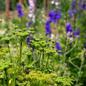flowering vegetable garden