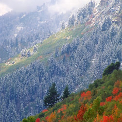 Mt. Timpanogos Autumn - Artwork
