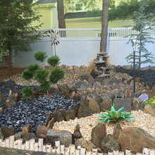 front yard