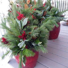 Potted Greens