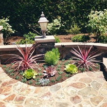 Landscape/hardscape