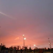 Lisa Sentz's photo