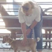 Foto von Rhonda Reed
