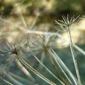 Wendy Cook's photo