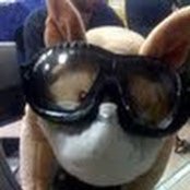 Adam Crawley's photo