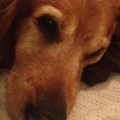 Darla Larsen's photo
