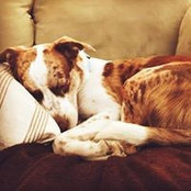 SAMANTHA ANSLEY's photo