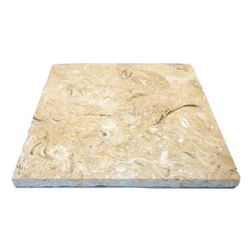 Caribbean Shell Stone
