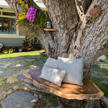100 Year Old Tree Bench