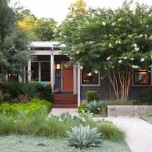 Landscape & Planting