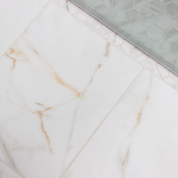 Barrington Hills Master Bath