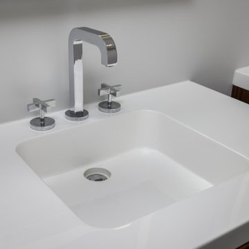 South Loop Bathroom Renovation: A mix of Contemporary and Classic Design