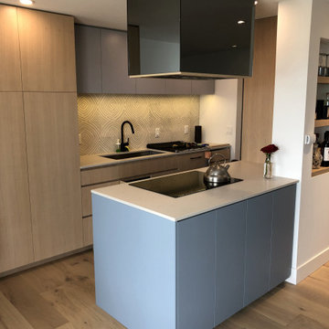 New Westminster - Modern Kitchen and Millwork