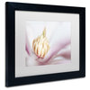 Pierre Leclerc 'Soft Magnolia' Matted Framed Art, Black Frame, White, 14x11