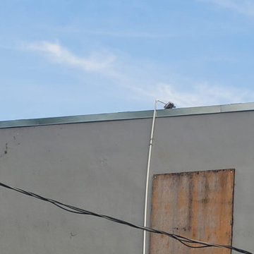 3200 sqft commercial flat roof