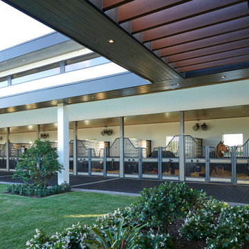 Modern Stables / horse barn