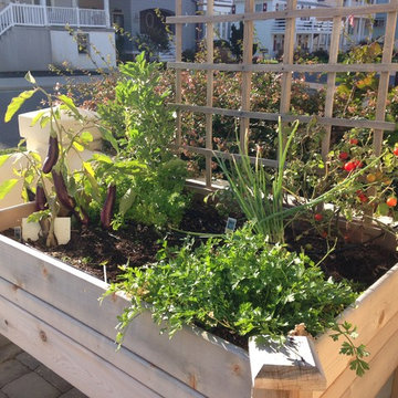 Vegetable & Herb Gardens