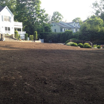 Greenwich Project