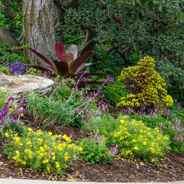 Gordon's Landscape Renewal