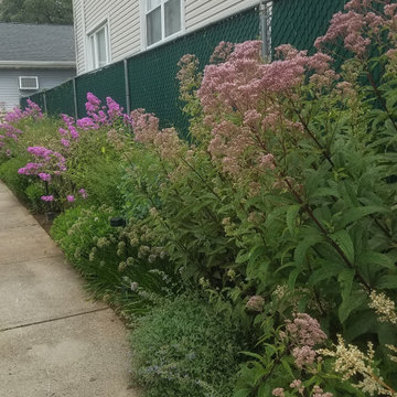 Pollinator Garden