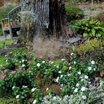 Severna Park Garden